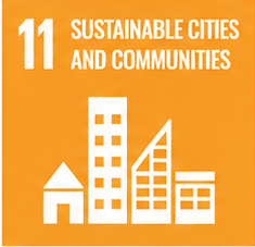 SDG 11