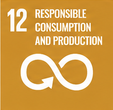 SDG 12