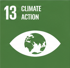SDG 13